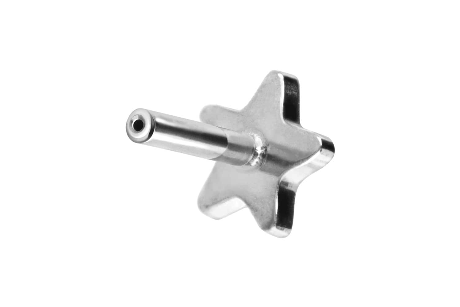 Titan Labret Piercing mit Push Fit ohne Kugel STERN